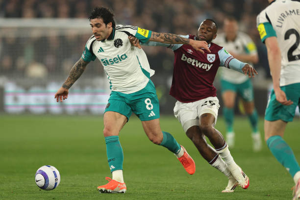 但他们并未 但他们并未